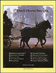 draft horse images