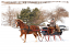 December - 2022 Driving Horse Calendar photo