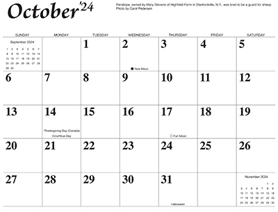 October 2024 Donkey Calendar Grid
