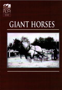 Giant Horses