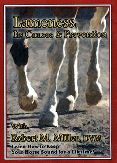 Lameness: Its Causes & Prevention
