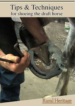 Tips and Techniques for Shoeing the Draft Horse DVD