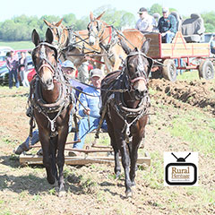 Homeplace on Green River Plow Day