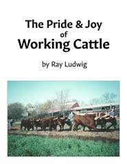 Pride and Joy of working Cattle