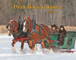 2018 Draft Horse Wall Calendar (SHIPPED TO USA ADDRESS)