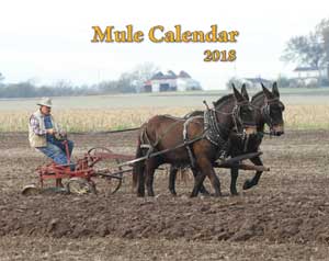 2018 Mule Wall Calendar (SHIPPED TO USA ADDRESS)