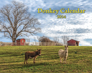 2024 Donkey Wall Calendar (SHIPPED TO USA ADDRESS)