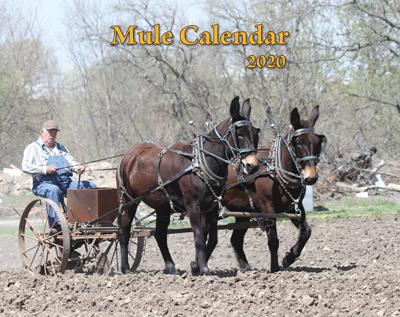 2020 Mule Wall Calendar (SHIPPED TO USA ADDRESS)