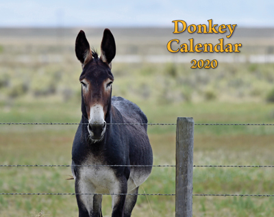 2020 Donkey Wall Calendar  (SHIPPED TO USA ADDRESS)
