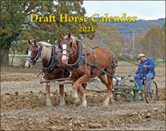 2021 Draft Horse Wall Calendar (SHIPPED TO USA ADDRESS)