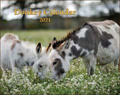 2021 Donkey Wall Calendar  (SHIPPED WITHIN USA)