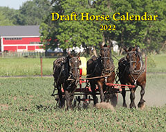 2022 Draft Horse Wall Calendar (SHIPPED TO USA ADDRESS)