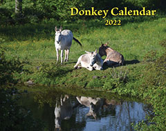 2022 Donkey Wall Calendar  (SHIPPED TO USA ADDRESS)