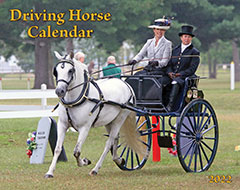 2022 Driving Horse Wall Calendar (SHIPPED TO USA ADDRESS)