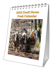 2023 Stand Up Desk Calendar (SHIPPED TO US ADDRESS) 