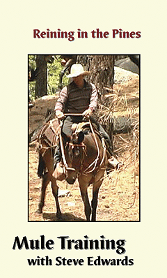 Reining in the Pines (DVD)