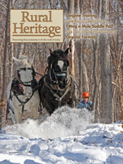 2010 March/April, Rural Heritage Magazine Issue 35/2