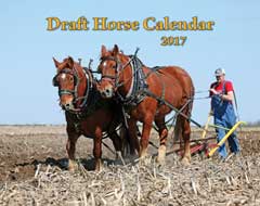 2017 Draft Horse Wall Calendar (SHIPPED TO USA ADDRESS)