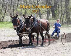 2017 Mule Wall Calendar (SHIPPED TO USA ADDRESS)