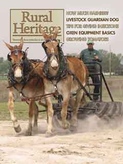 2015 June/July, Rural Heritage Magazine Issue 40/3