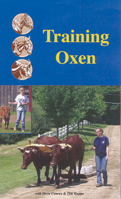 Training Oxen