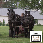 Amish Horses in Print - Thomas Nye