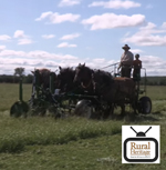 Horsedrawn Haymaking in a Day