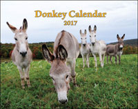 2017 Donkey Wall Calendar  (SHIPPED TO USA ADDRESS)