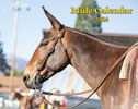 2024 Mule Wall Calendar (SHIPPED OVERSEAS)