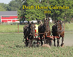 2022 Draft Horse Wall Calendar (SHIPPED OVERSEAS)