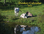 2022 Donkey Wall Calendar  (SHIPPED OVERSEAS)
