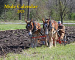 2023 Mule Wall Calendar (SHIPPED OVERSEAS)