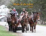 2019 Mule Wall Calendar (SHIPPED OVERSEAS)