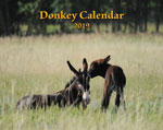 2019 Donkey Wall Calendar  (SHIPPED TO USA ADDRESS)