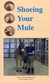 Shoeing Your Mule