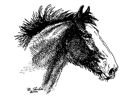 Clyde Foal Head Notepad (E)